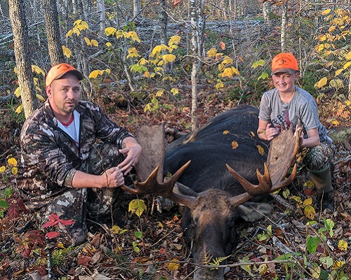 Maine Moose hunting Bull moose zone 9