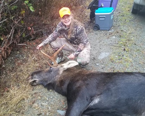 Maine Moose hunting Bull moose zone 4