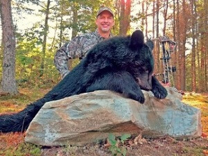 Maine Black bear hunting