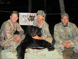 Maine Black bear hunting Maine Black bear hunting