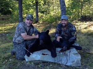Maine Black bear hunting