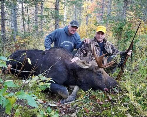 Maine Moose hunting Bull moose zone 10