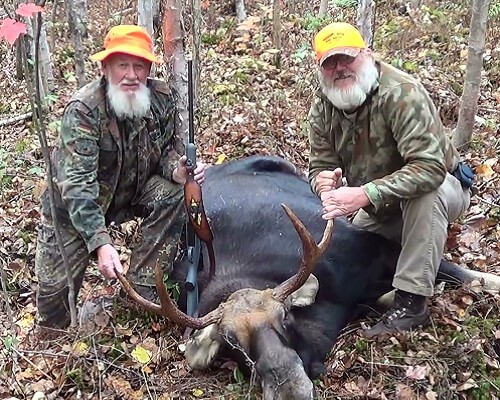 Maine Moose hunting Bull moose zone 10