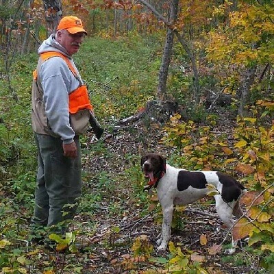 Maine grouse hunting