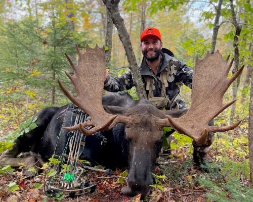Maine Moose hunting Bull moose zone 4
