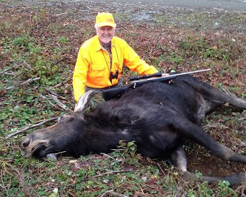 Maine Cow Moose zone 4