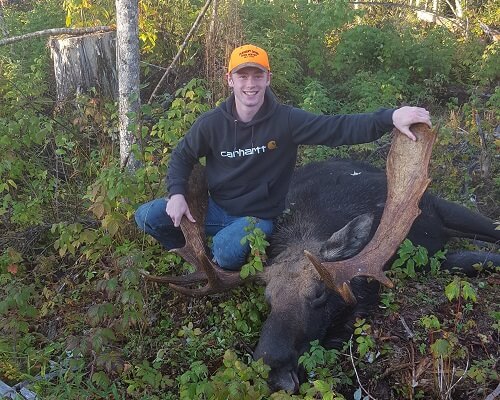 Maine Moose hunting Bull moose zone 4