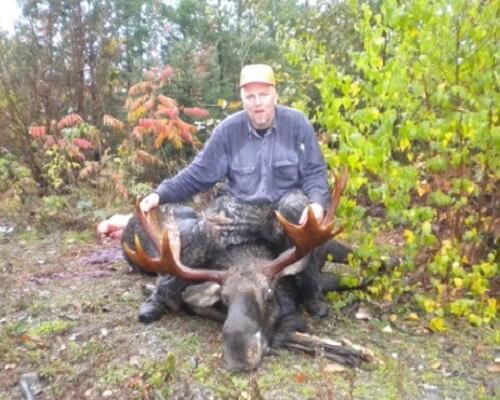 Maine Moose hunting Bull zone 18